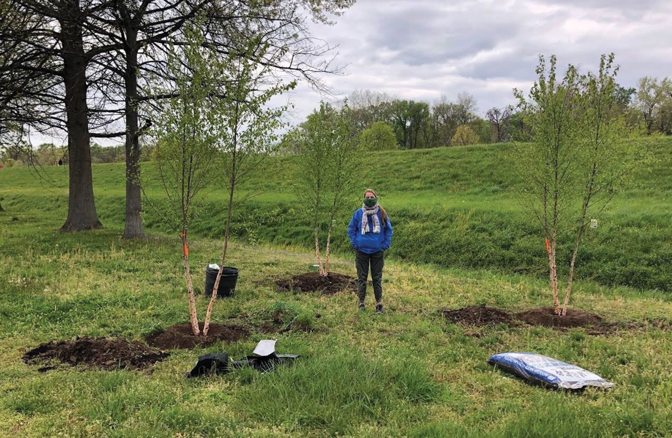 Tree planting in Prince George's County, MD
